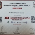 Ampliar imagen: certificate 5