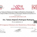 Ampliar imagen: certificate 13