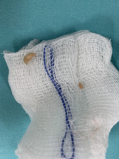 Carlos Alejandro De Alba De Lira-1