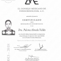 Ampliar imagen: certificate 4