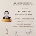 Ampliar imagen: certificate 3