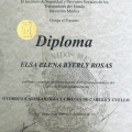 Ampliar imagen: certificate 3