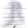 Ampliar imagen: certificate 4