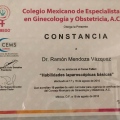 Ampliar imagen: certificate 8