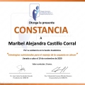 Ampliar imagen: certificate 3
