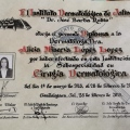 Ampliar imagen: certificate 3