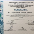 Ampliar imagen: certificate 2