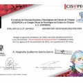Ampliar imagen: certificate 31