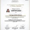 Ampliar imagen: certificate 4