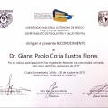 Ampliar imagen: certificate 27