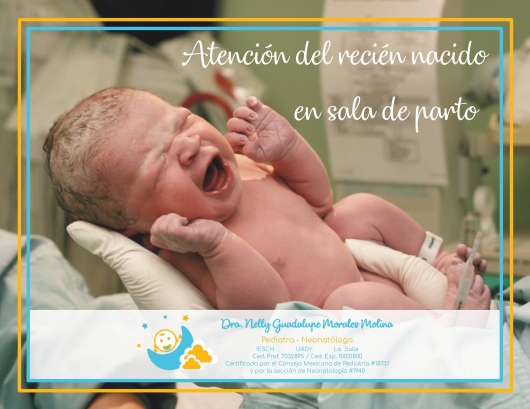 Nelly Guadalupe Morales Molina-10