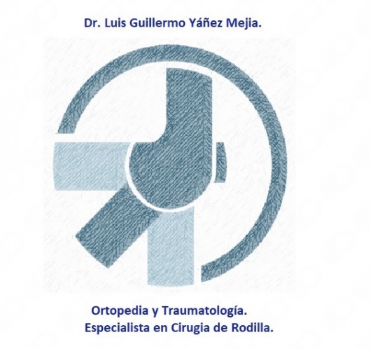 Luis Guillermo Yáñez Mejía-4