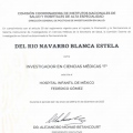Ampliar imagen: certificate 5