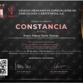 Ampliar imagen: certificate 1