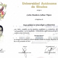 Ampliar imagen: certificate 1