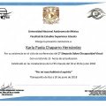 Ampliar imagen: certificate 2
