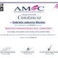 Ampliar imagen: certificate 6
