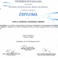 Ampliar imagen: certificate 9
