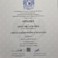 Ampliar imagen: certificate 4