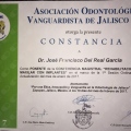 Ampliar imagen: certificate 13