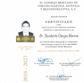 Ampliar imagen: certificate 2
