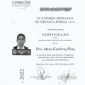 Ampliar imagen: certificate 3