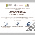 Ampliar imagen: certificate 8