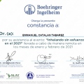 Ampliar imagen: certificate 11
