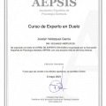 Ampliar imagen: certificate 5