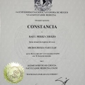 Ampliar imagen: certificate 5