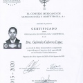 Ampliar imagen: certificate 7