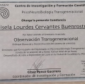 Ampliar imagen: certificate 5