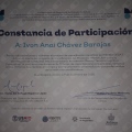 Ampliar imagen: certificate 9