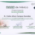 Ampliar imagen: certificate 2
