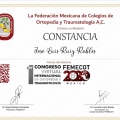 Ampliar imagen: certificate 13