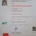 Ampliar imagen: certificate 2
