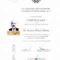 Ampliar imagen: certificate 5