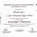Ampliar imagen: certificate 4