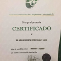 Ampliar imagen: certificate 3