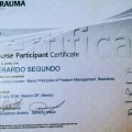 Ampliar imagen: certificate 9