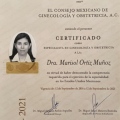 Ampliar imagen: certificate 1