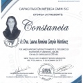 Ampliar imagen: certificate 21