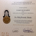 Ampliar imagen: certificate 3