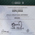 Ampliar imagen: certificate 4