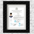 Ampliar imagen: certificate 2