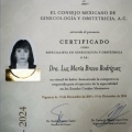Ampliar imagen: certificate 1