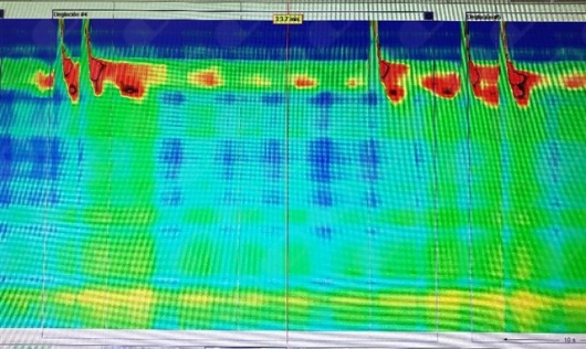 Laura Dalia Pineda Figueroa-0