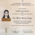 Ampliar imagen: certificate 7