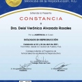 Ampliar imagen: certificate 19