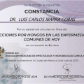 Ampliar imagen: certificate 17